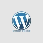 wordpress image freelance digital marketer in thrissur